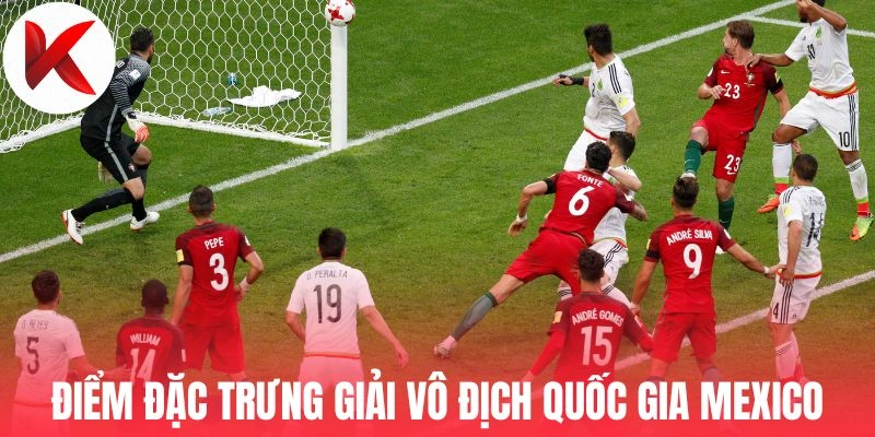Điểm đặc trưng giải vô địch quốc gia Mexico